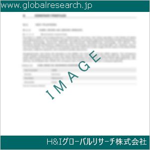 グローバルリサーチ調査資料のイメージ
